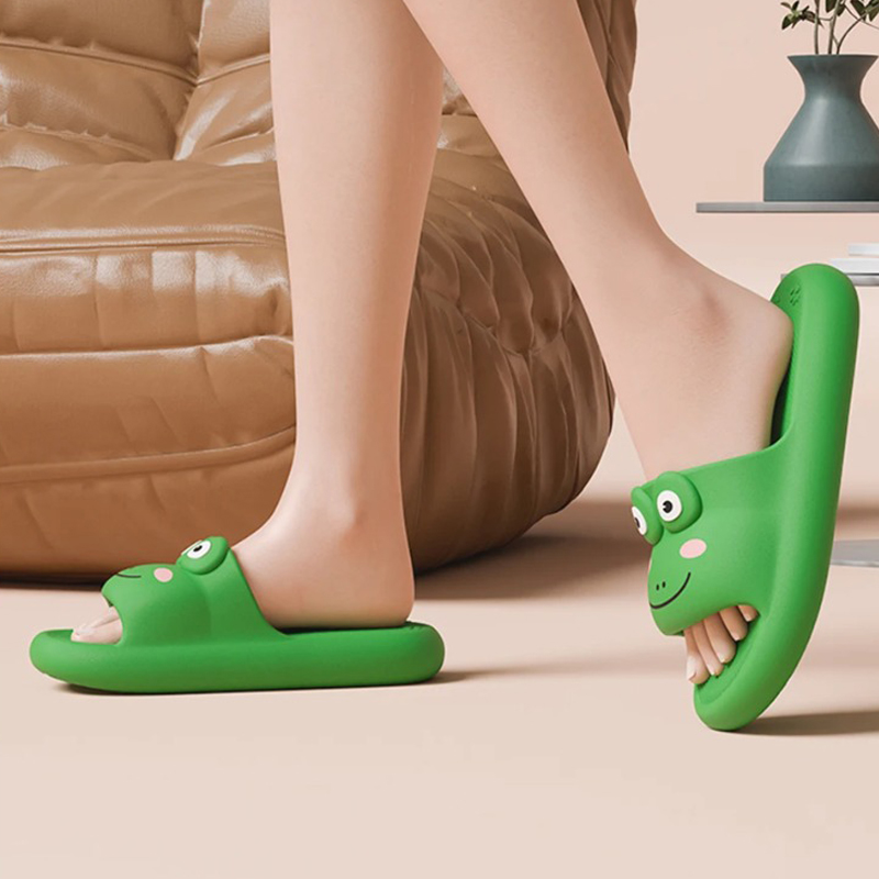 House Slipper Frog Cloud Woman - Sneaker Care Set 리뷰 및 가격
